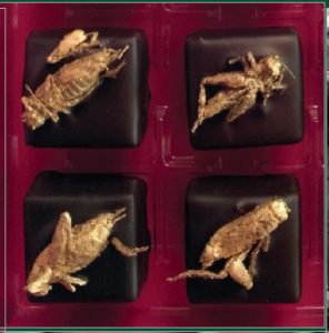 Image: Gold encrusted bugs adorn chocolates (Public Domain)