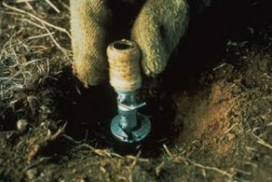 Image: M-44 Cyanide Bomb, USDA