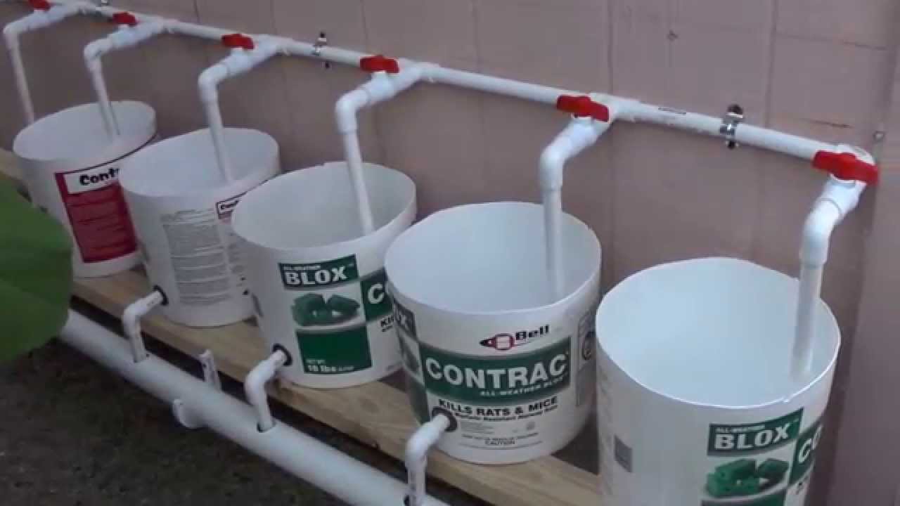 Diy Hydroponics Dutch Bucket System at Kirk Adams blog